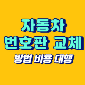 자동차 번호판 교체