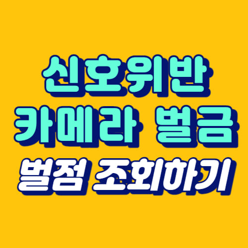 신호위반 카메라 벌금
