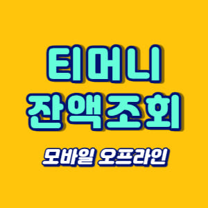 티머니 잔액조회