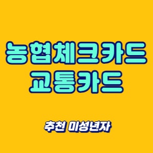농협체크카드 교통카드