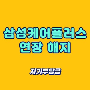 삼성케어플러스 연장